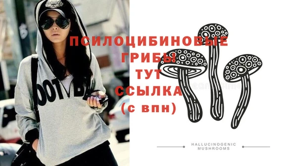 СК Медногорск