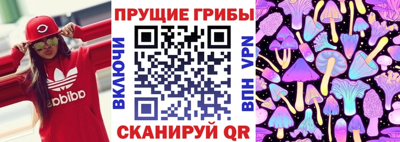даркнет сайт  Черемхово  Галлюциногенные грибы мухоморы 